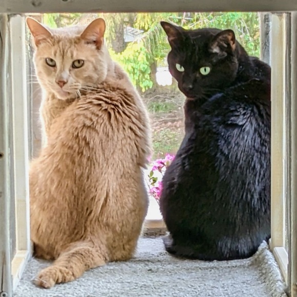 Meet the Posher - Picture 6 of 6